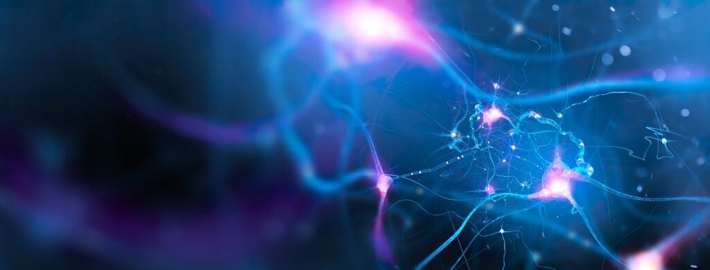 5613_Neural network of the brain. 3D illustration