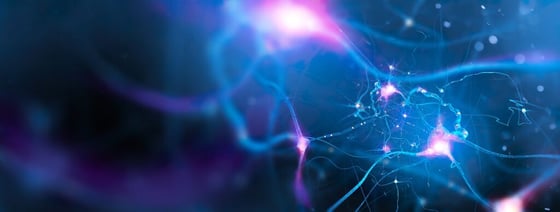 5613_Neural network of the brain. 3D illustration