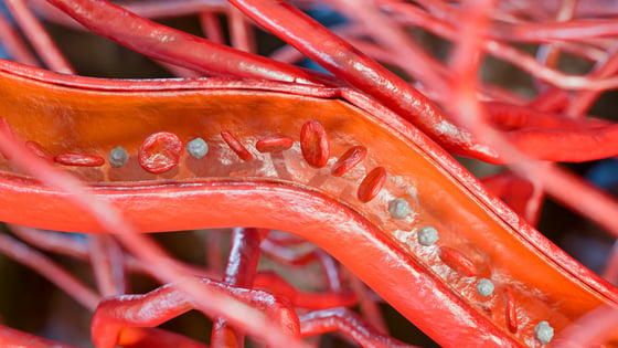 5621_Microvascular blood flow