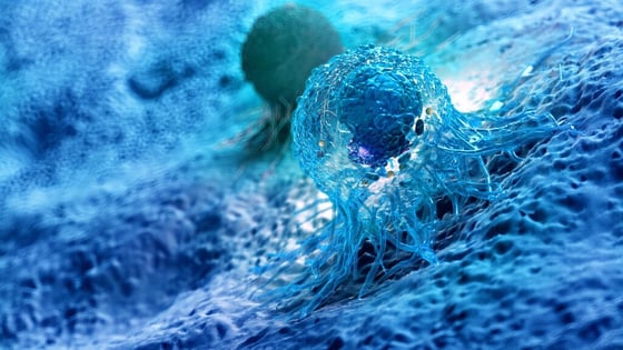 5640_3D rendered illustration of the anatomy of a cancer cell