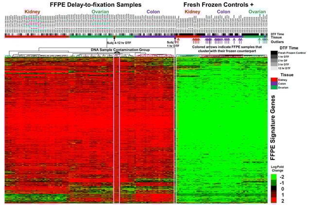 Deleterious effects of formalin-fixation and delays to fixation on RNA and miRNA-Seq profiles