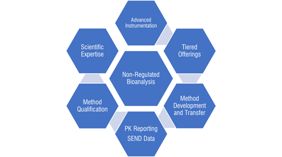 Discovery Bioanalysis Page Diagram