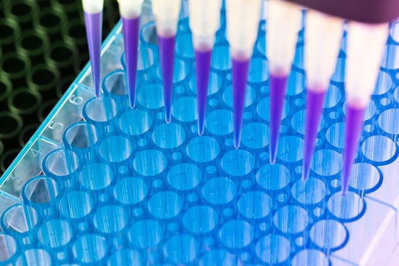 Website Featured_JPG-031_Scientific experiment
