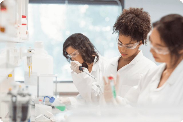 In Vitro Immunology and Immunogenicity Brochure