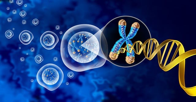 Accelerate Genomic Insights with IQVIA Laboratories Bioinformatics Solutions