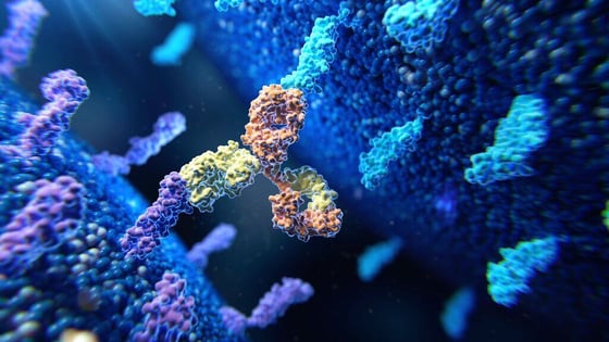 Website Featured_JPG-3587_Bispecific antibody in action