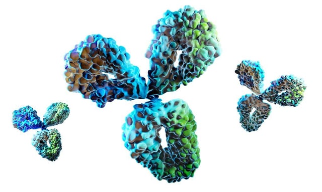 Bridging the Ligand Binding Assays and LC-MS Disciplines for Hybrid Assays