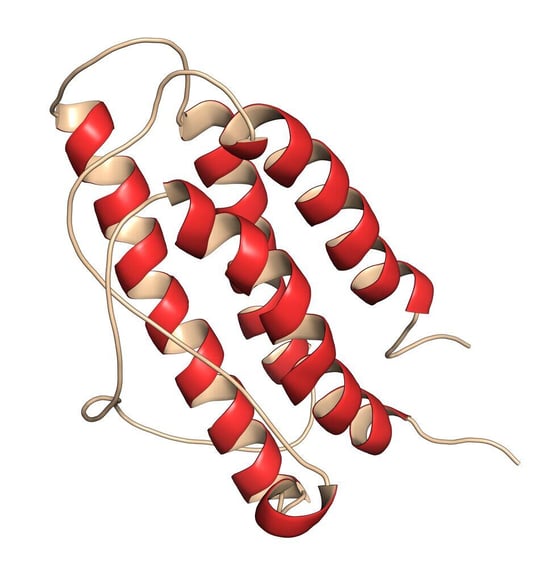 Website Featured_JPG-3591_Erythropoietin (human EPO, epoetin) protein hormone