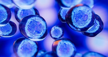 Innovation Laboratories