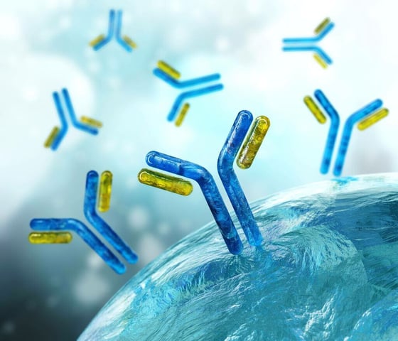 Website Featured_JPG-3839_Y-shaped protein