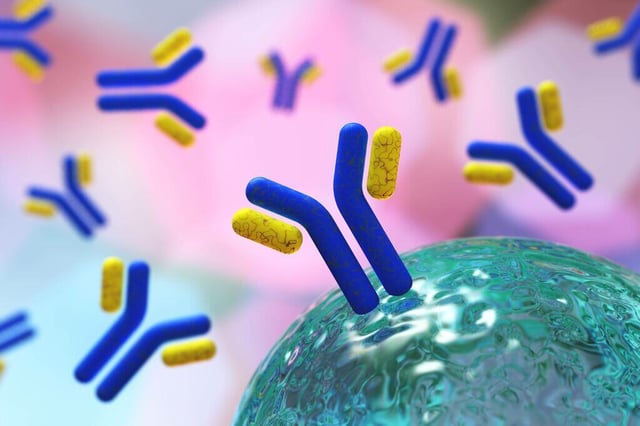 A guide to large molecule bioanalytical strategy for PK ADA and NAb