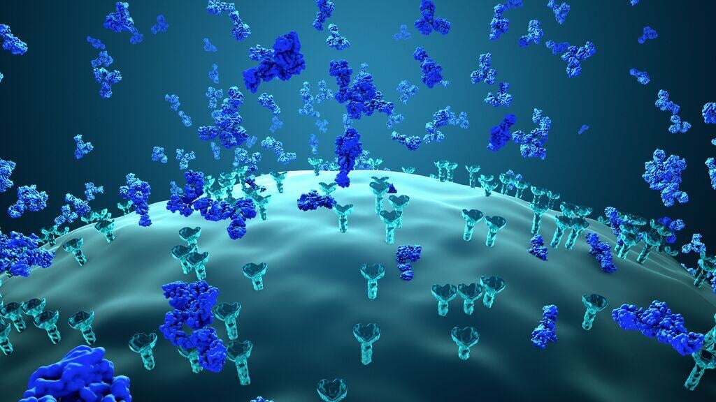 Website Featured_JPG-3828_Antibodies block virus