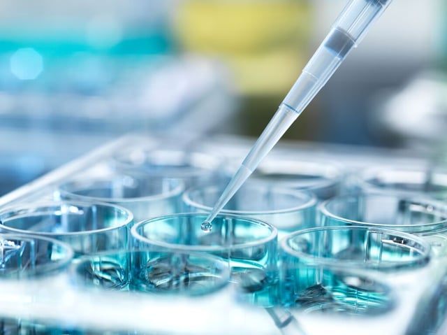 Specialized Support to Accelerate Biotech Success