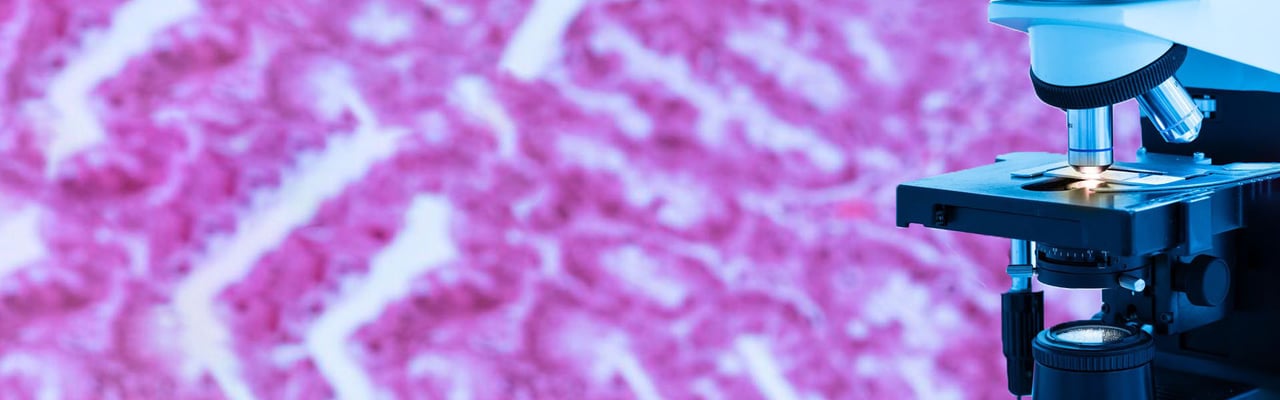 4004_Modern microscope and human tissue