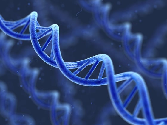 Website Featured_JPG-984_DNA Strand