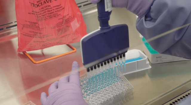 Translational Science and Innovation Laboratory (TSAIL)