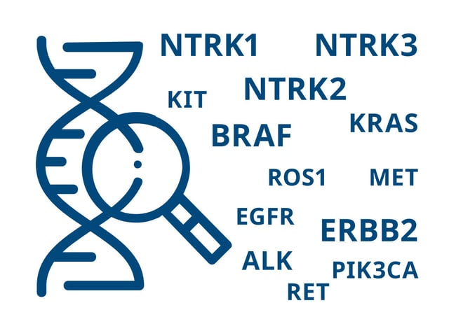 Oncomine Precision Assay on the Genexus System