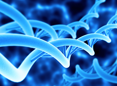 Using Gene Signature Methodologies to strengthen Immuno Oncology Trials