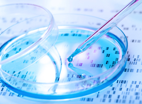 Impact of RNA-seq data analysis algorithms on gene expression estimation and downstream prediction