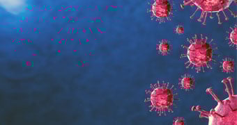 Vaccines in the Fight against Malaria