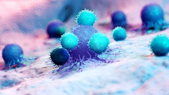 Website Featured Image_PNG-5643_3D rendered illustration of leukocytes attacking a cancer cell