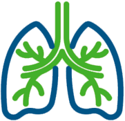 Lungs