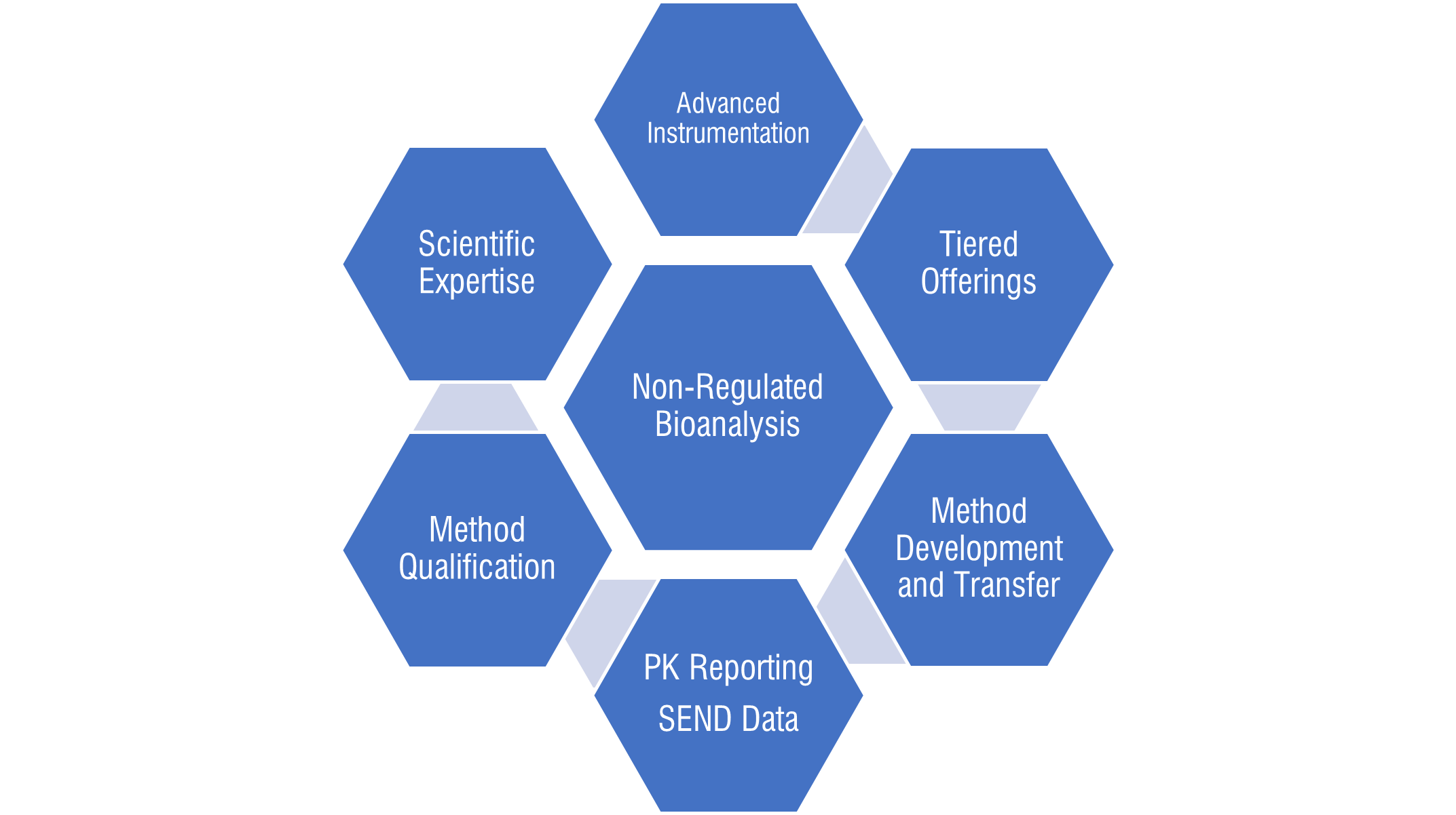 Discovery Bioanalysis Page Diagram