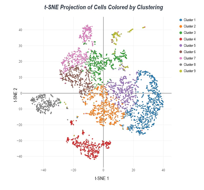 t-sne-projection-cells-clustering